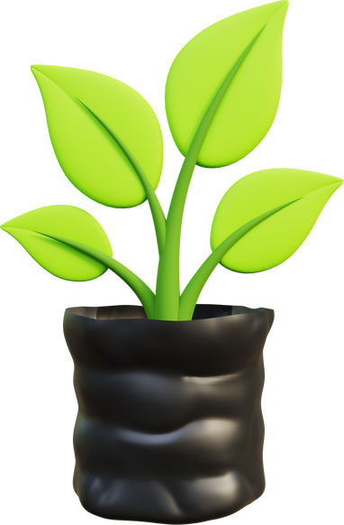 3D plants in polybags Illustration